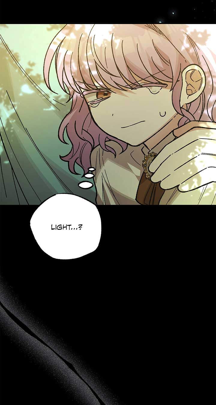 Let Me Kidnap the Male Lead! Chapter 21 - Page 53