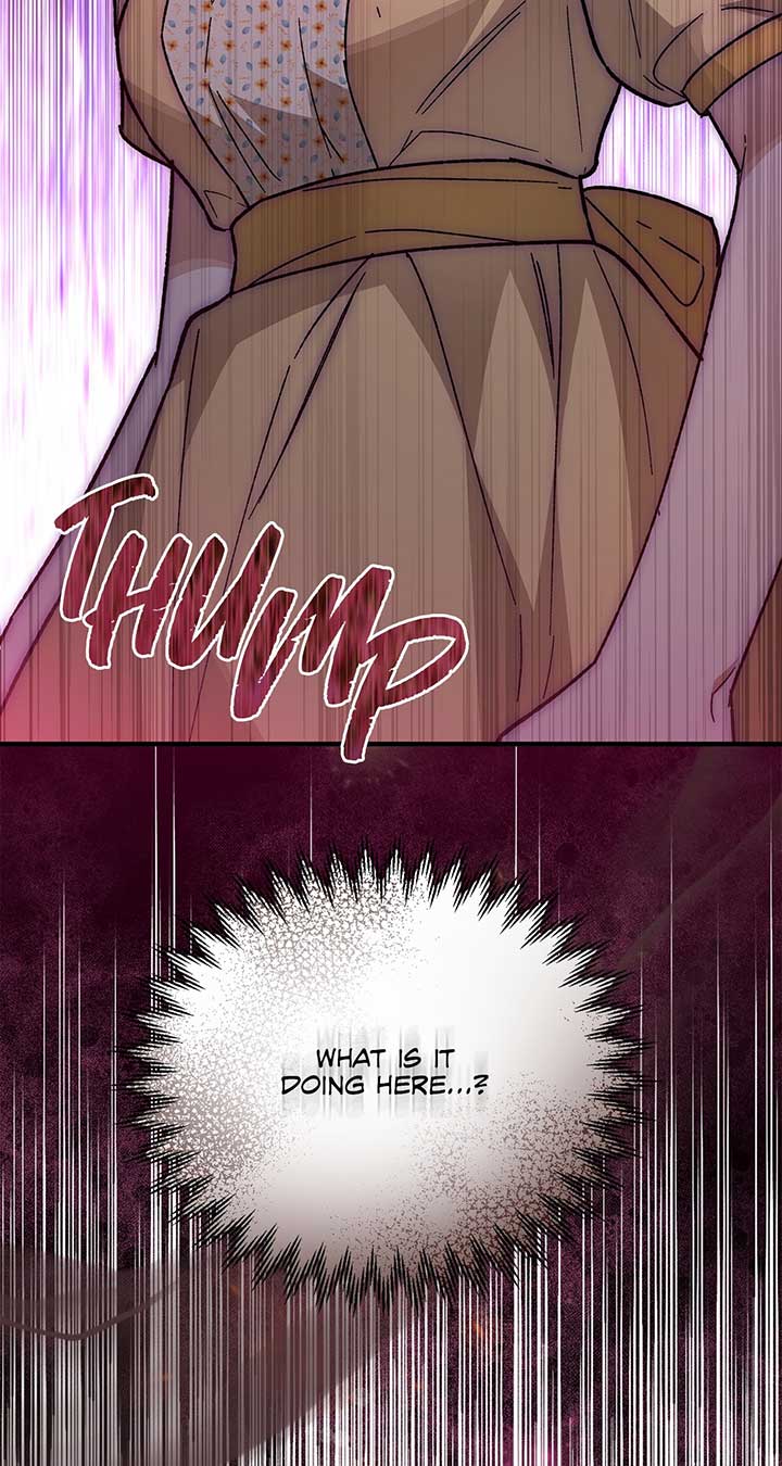 Let Me Kidnap the Male Lead! Chapter 24 - Page 54