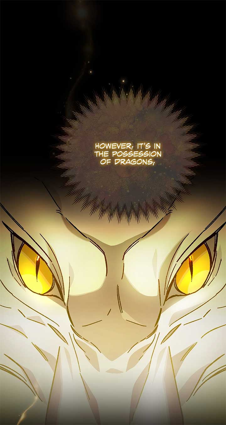 Let Me Kidnap the Male Lead! Chapter 42 - Page 13