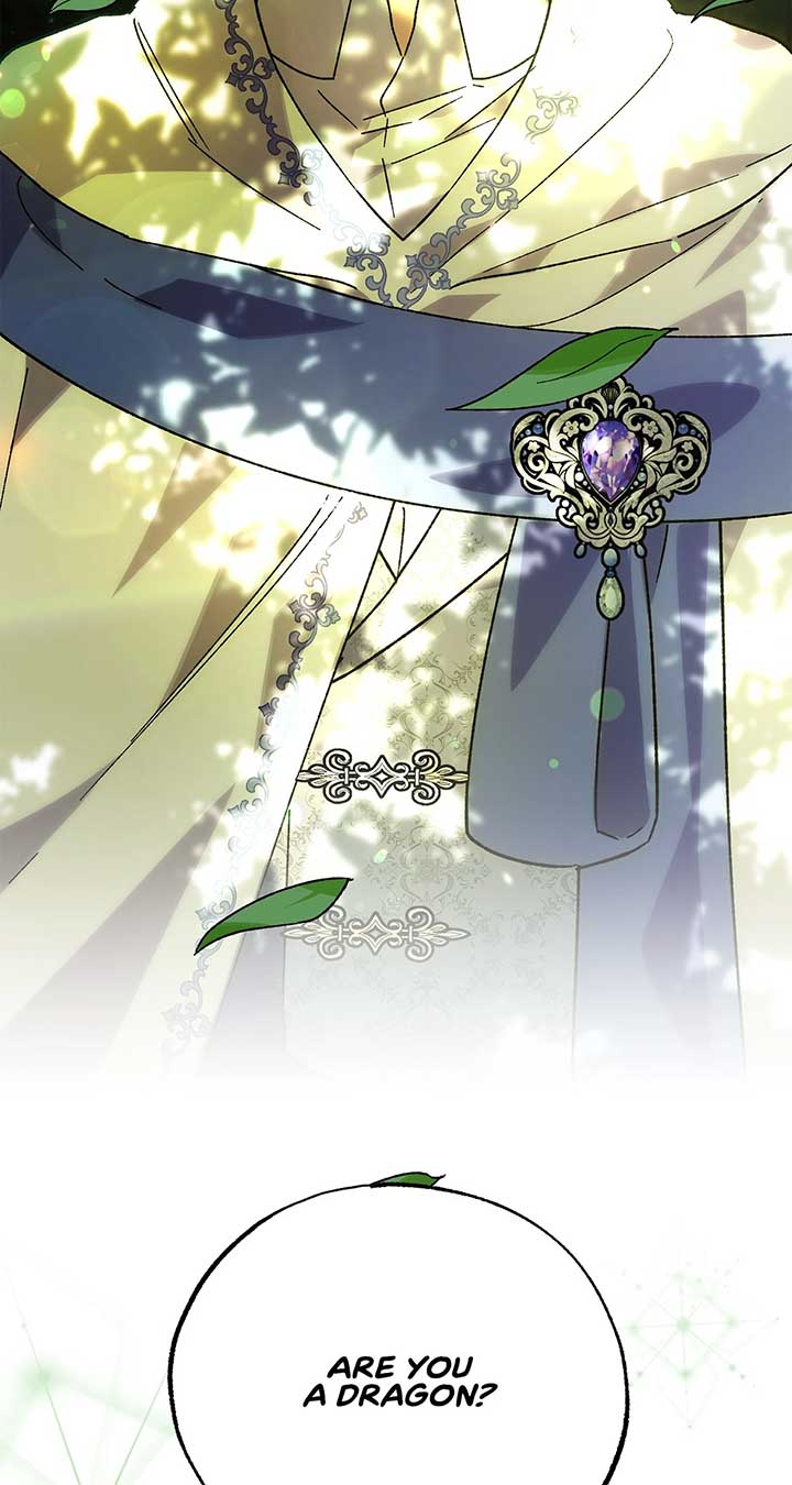 Let Me Kidnap the Male Lead! Chapter 43 - Page 2