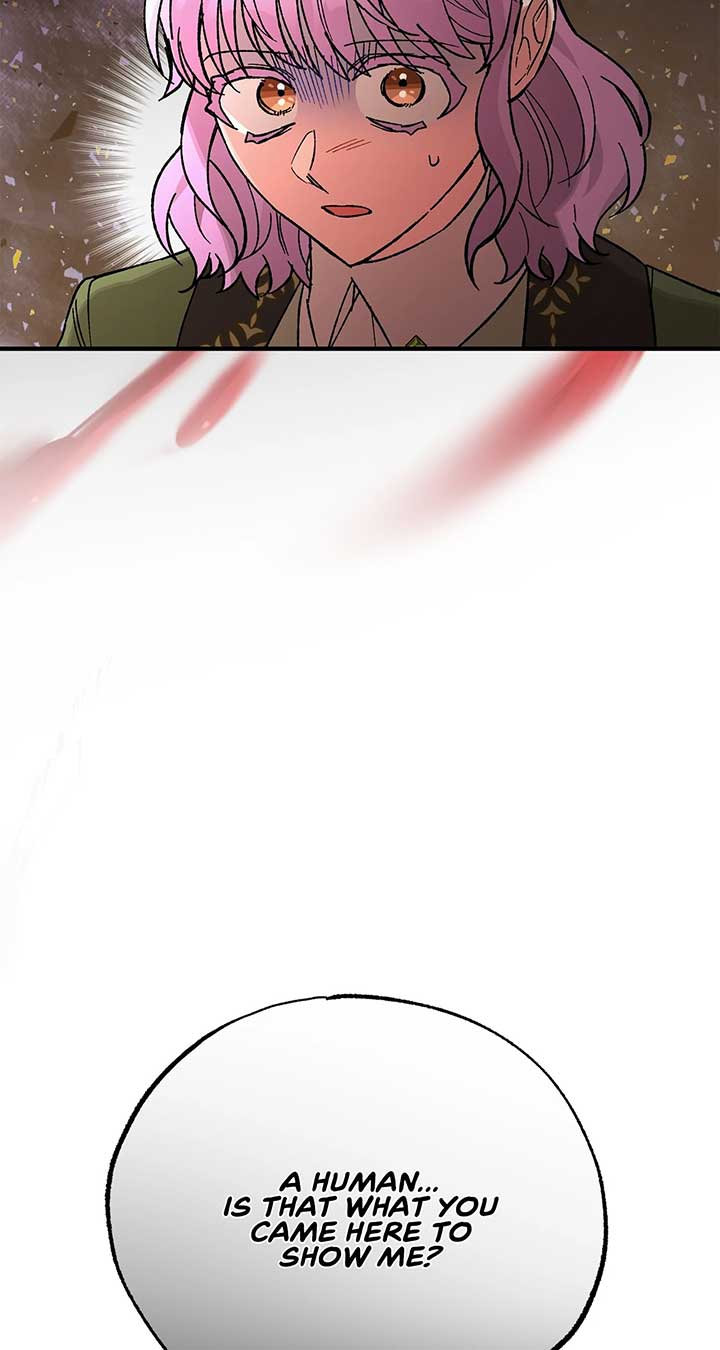 Let Me Kidnap the Male Lead! Chapter 46 - Page 94