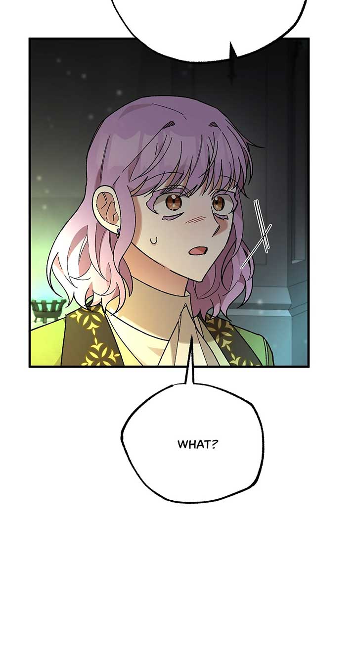 Let Me Kidnap the Male Lead! Chapter 49 - Page 9