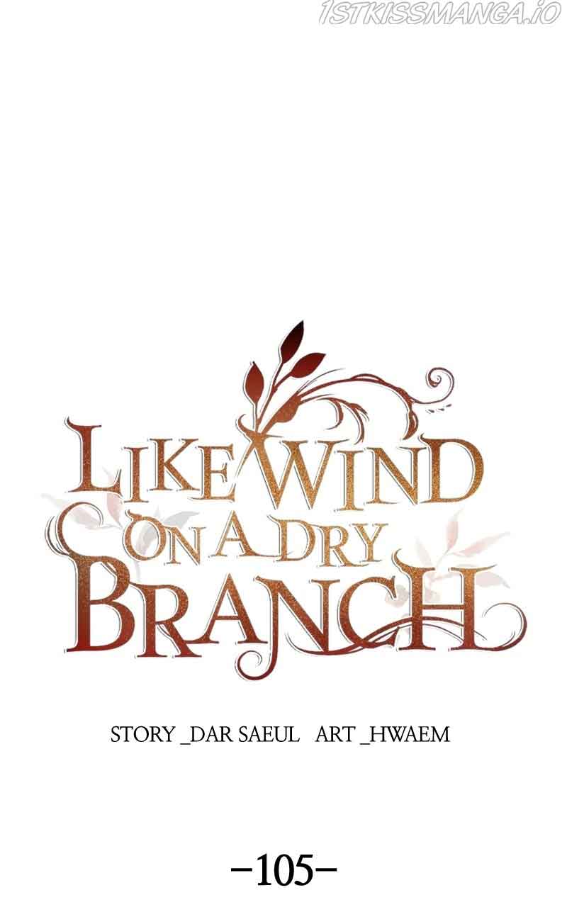 Like a Wind on a Dry Branch Chapter 105 - Page 0