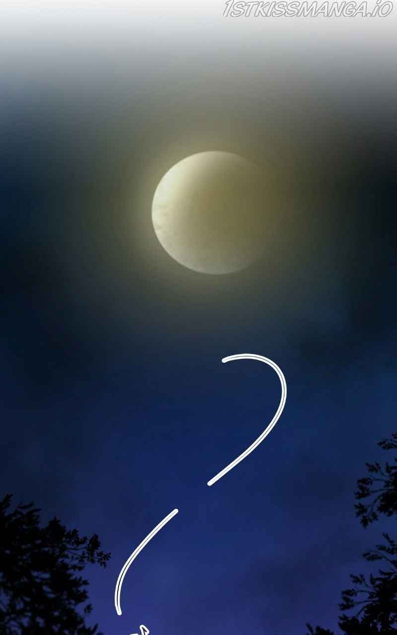 Like a Wind on a Dry Branch Chapter 105 - Page 40