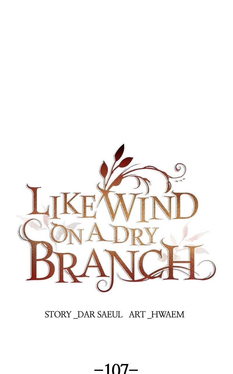 Like a Wind on a Dry Branch Chapter 107 - Page 0