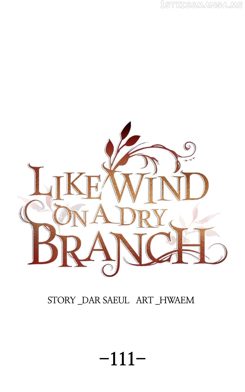 Like a Wind on a Dry Branch Chapter 111 - Page 0