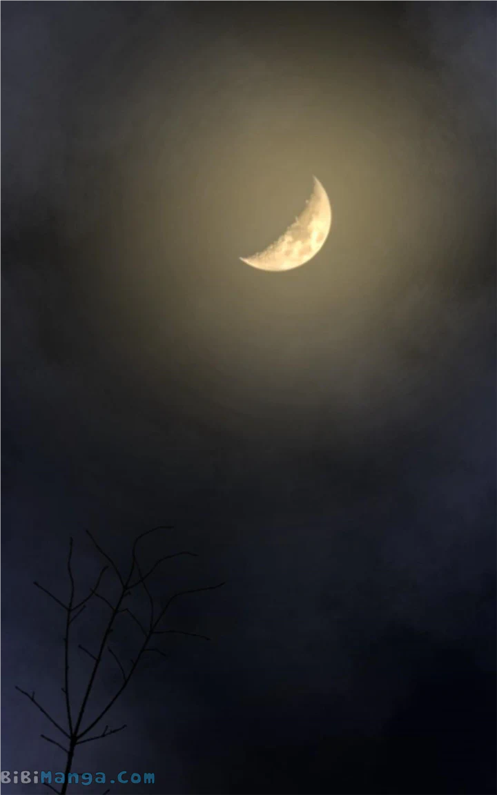 Like a Wind on a Dry Branch Chapter 157 - Page 84