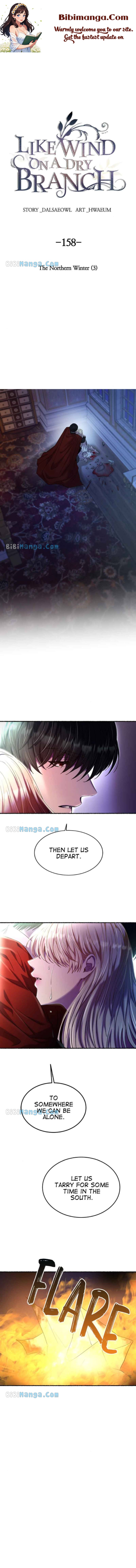 Like a Wind on a Dry Branch Chapter 158 - Page 0