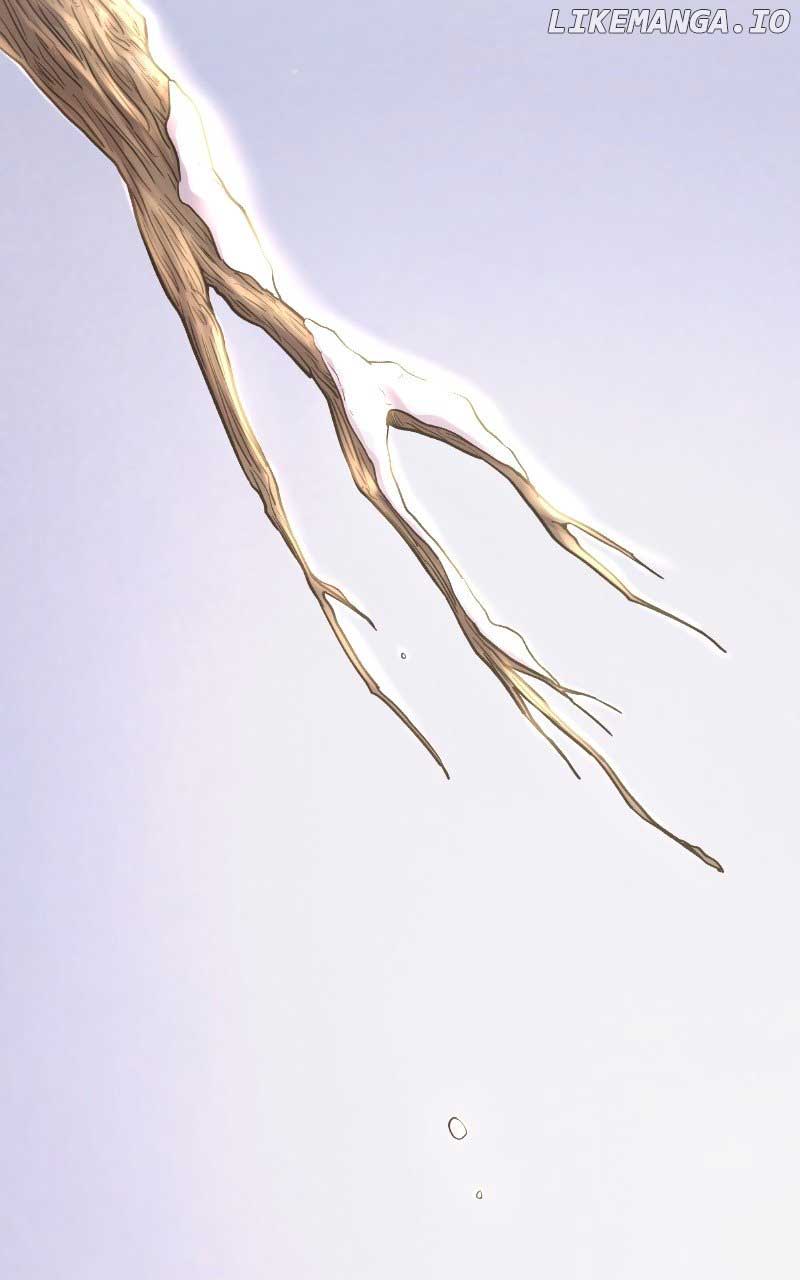 Like a Wind on a Dry Branch Chapter 166 - Page 115