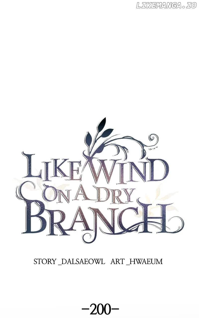 Like a Wind on a Dry Branch Chapter 200 - Page 0