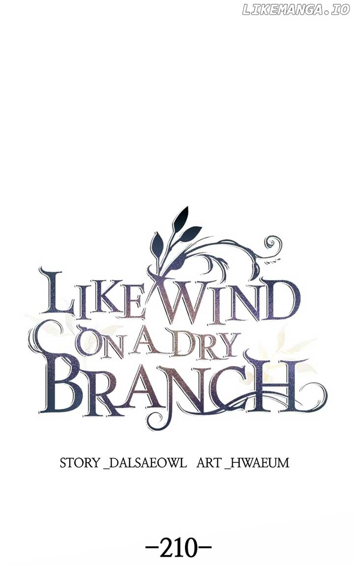 Like a Wind on a Dry Branch Chapter 210 - Page 0