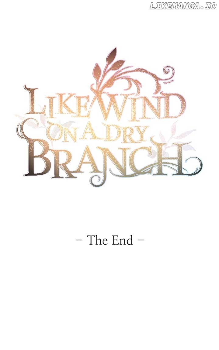 Like a Wind on a Dry Branch Chapter 211 - Page 144