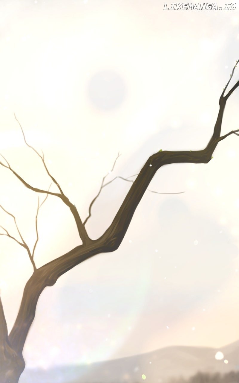 Like a Wind on a Dry Branch Chapter 212 - Page 42