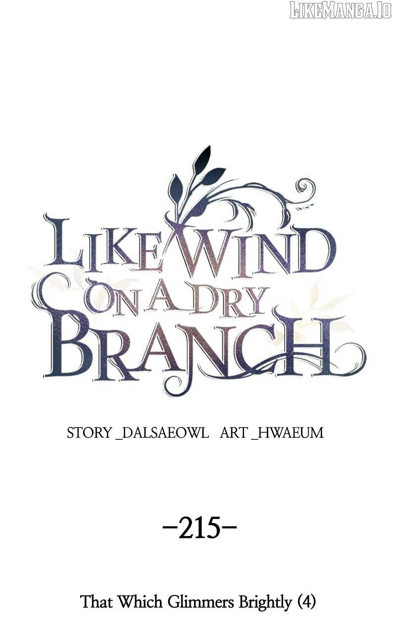 Like a Wind on a Dry Branch Chapter 215 - Page 0