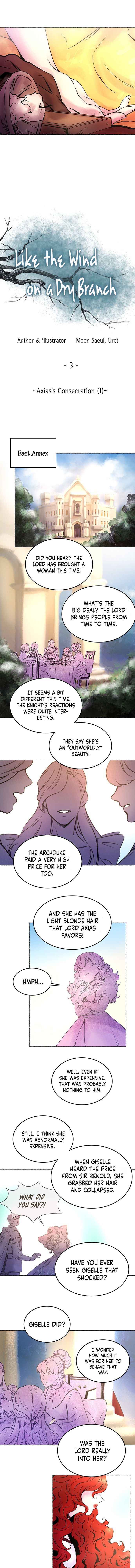 Like a Wind on a Dry Branch Chapter 3 - Page 3