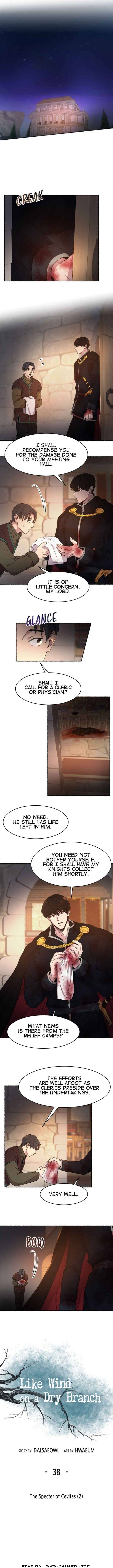 Like a Wind on a Dry Branch Chapter 38 - Page 0