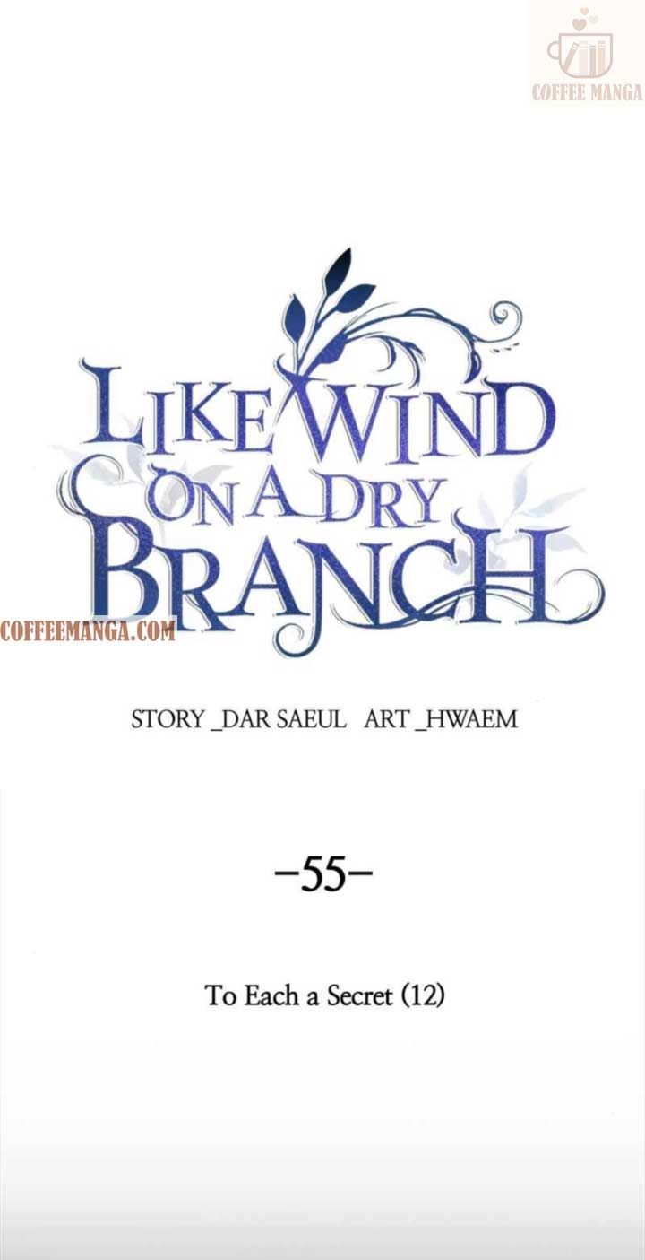 Like a Wind on a Dry Branch Chapter 55 - Page 0