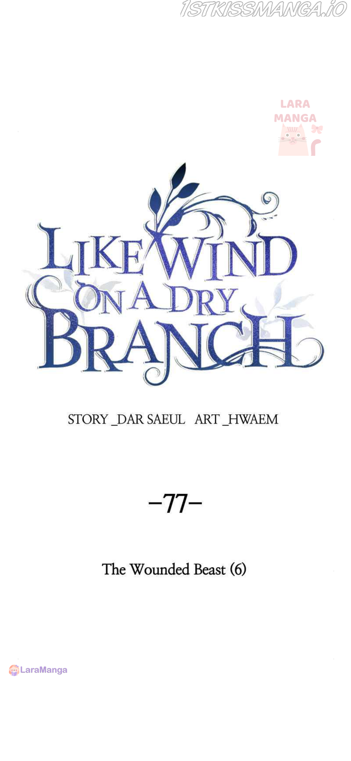Like a Wind on a Dry Branch Chapter 77 - Page 62