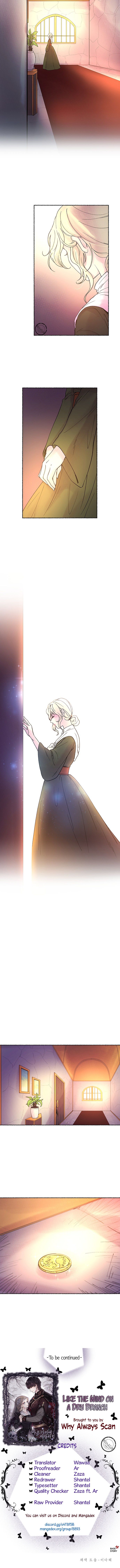 Like a Wind on a Dry Branch Chapter 8 - Page 13