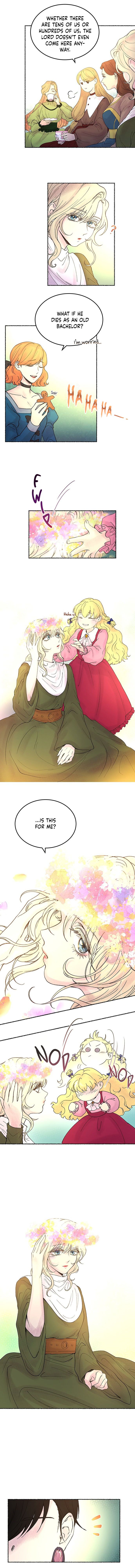 Like a Wind on a Dry Branch Chapter 8 - Page 5