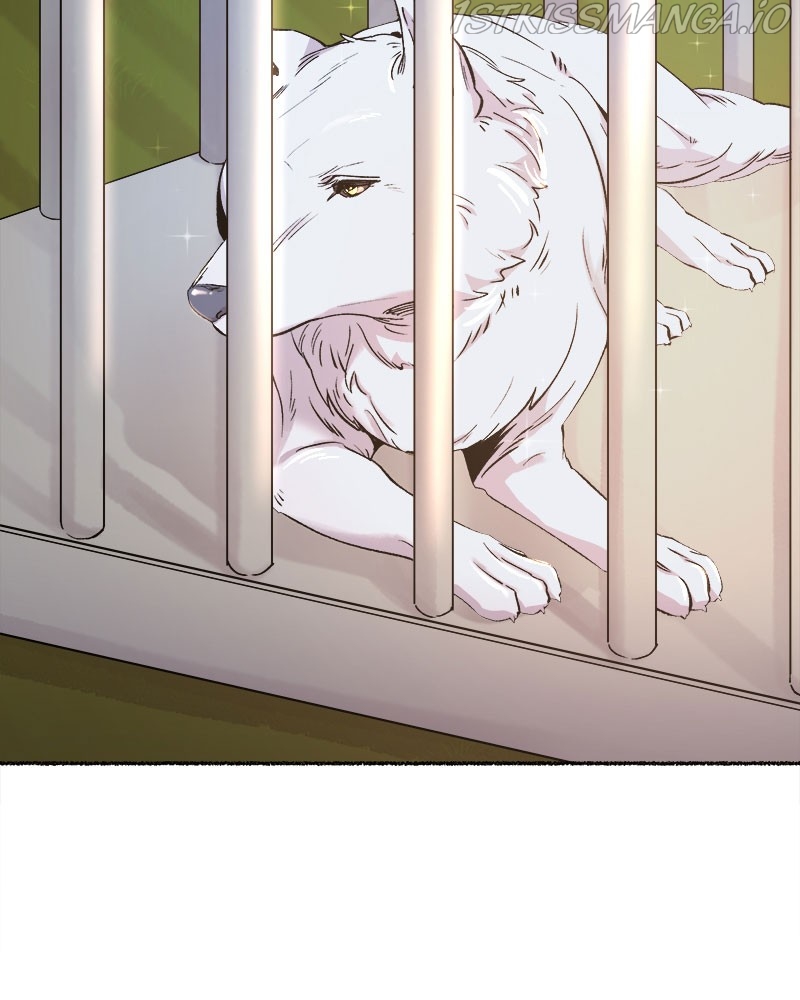 Like a Wind on a Dry Branch Chapter 82 - Page 82