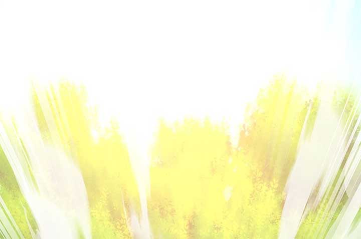 Lord of Mana Chapter 26 - Page 298