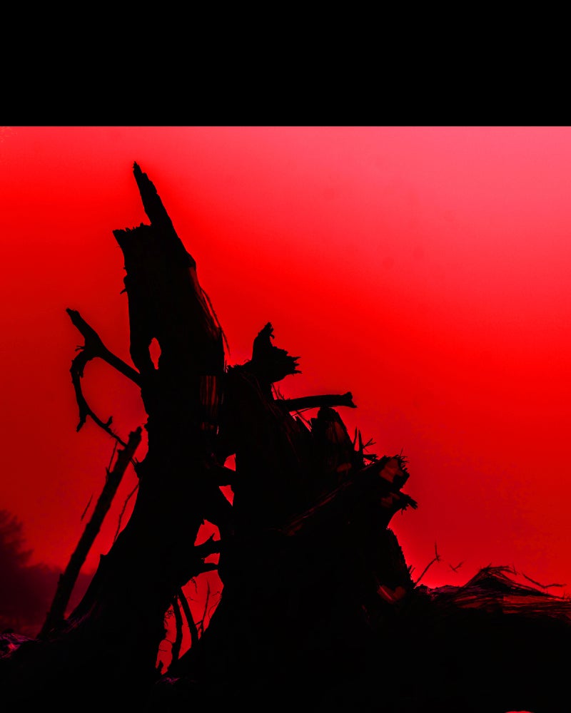Love Me to Death Chapter 29 - Page 64