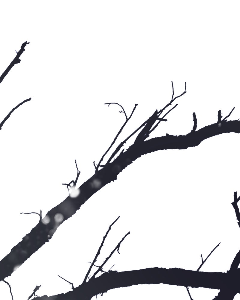 Love Me to Death Chapter 45 - Page 126