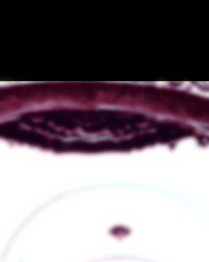 Love Me to Death Chapter 81 - Page 4