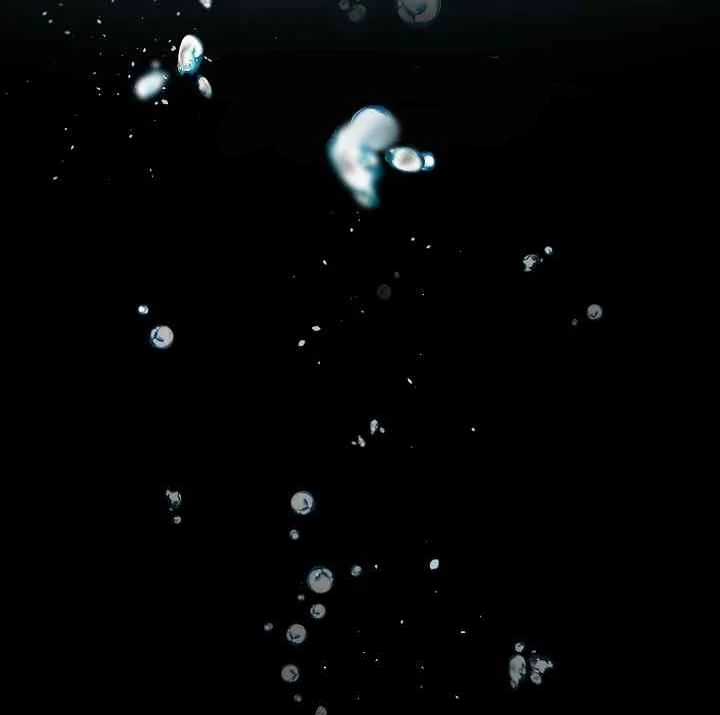 Mansion Wing Chunhua: Parachute Blouse Chapter 11 - Page 25