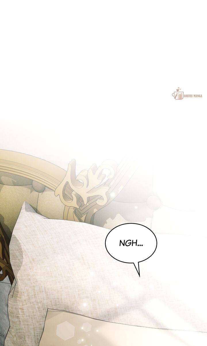 Marriage Contract With Two Husbands Chapter 65 - Page 0