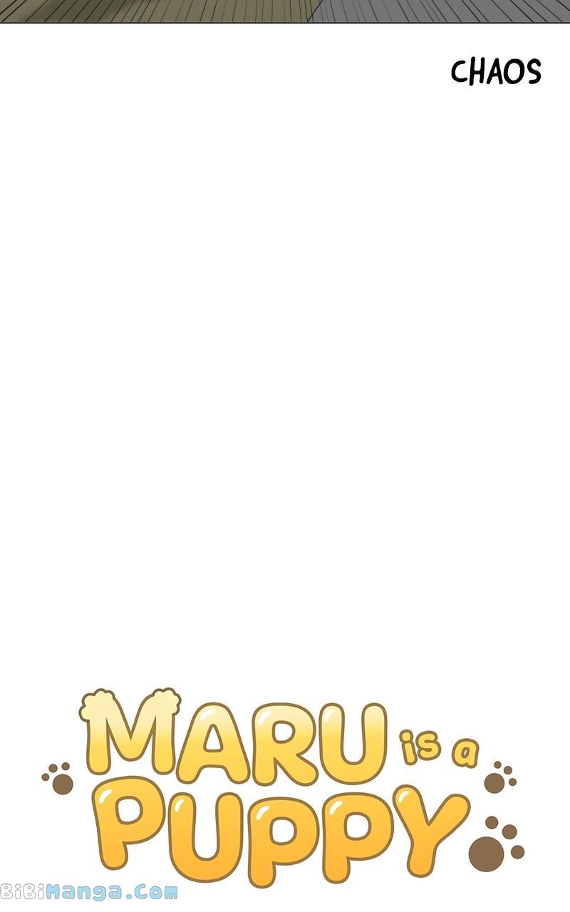 Maru Is a Puppy Chapter 12 - Page 10