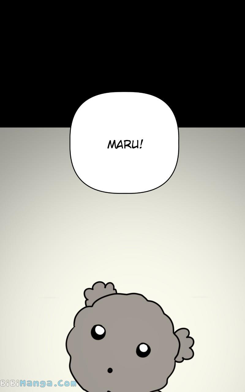 Maru Is a Puppy Chapter 14 - Page 0