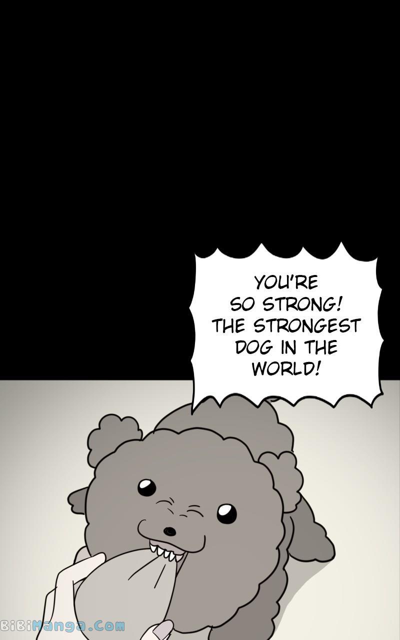 Maru Is a Puppy Chapter 14 - Page 3