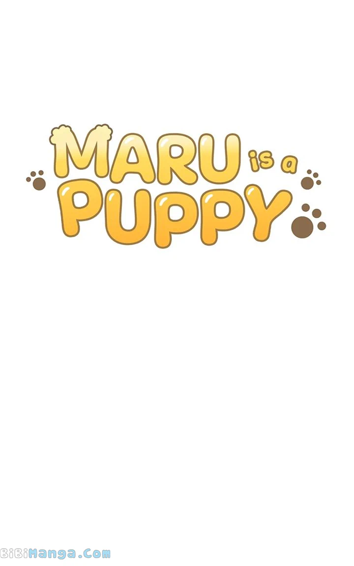 Maru Is a Puppy Chapter 16 - Page 10