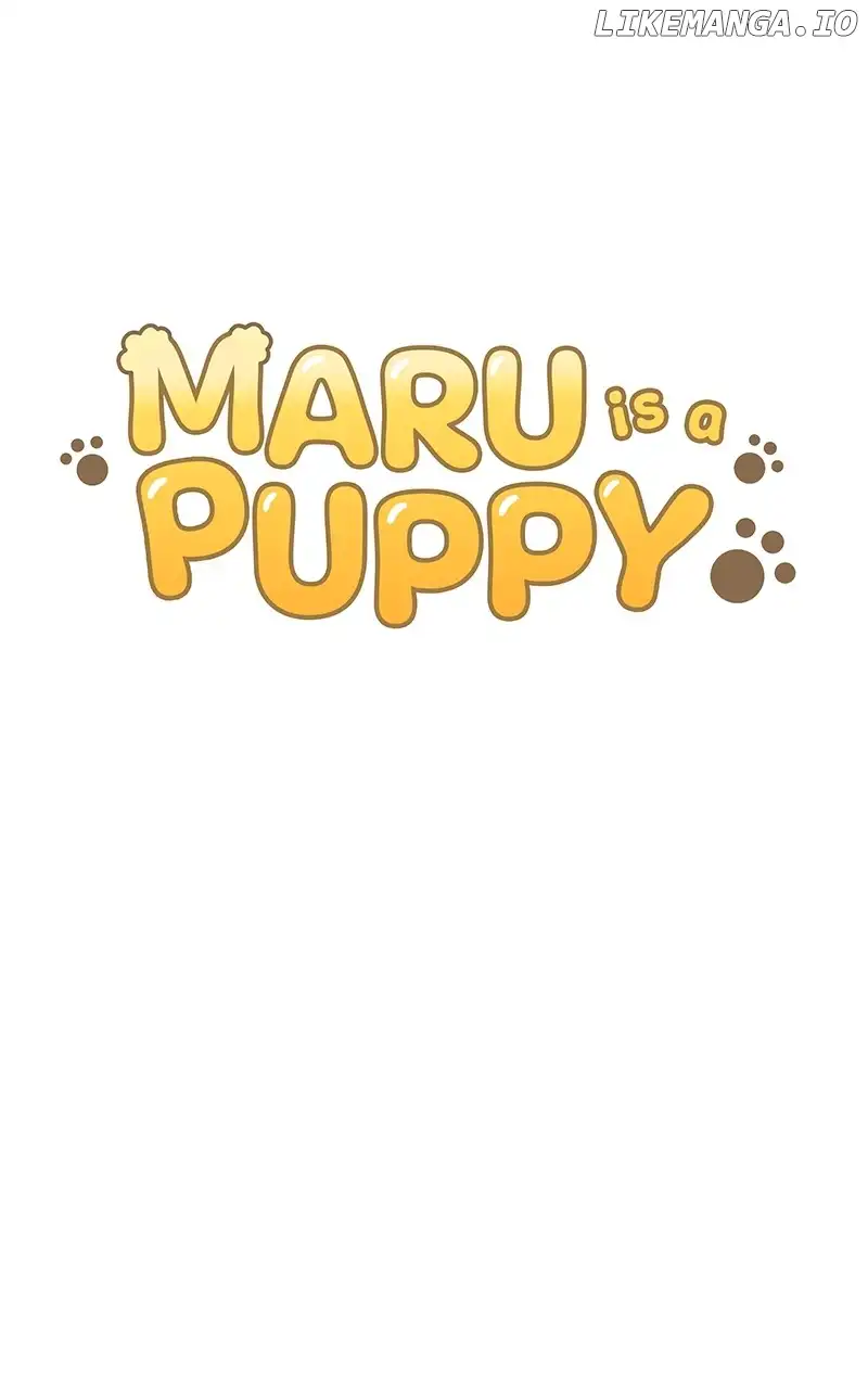 Maru Is a Puppy Chapter 41 - Page 17