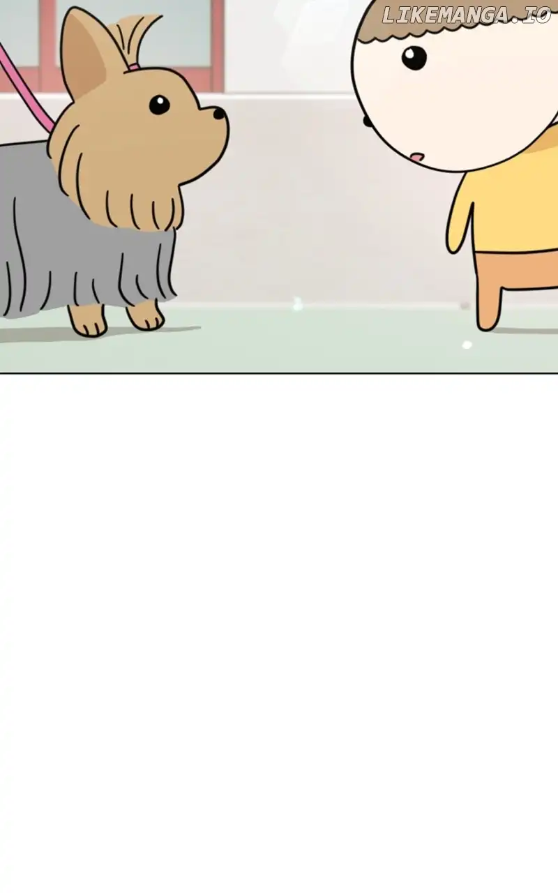 Maru Is a Puppy Chapter 45 - Page 1