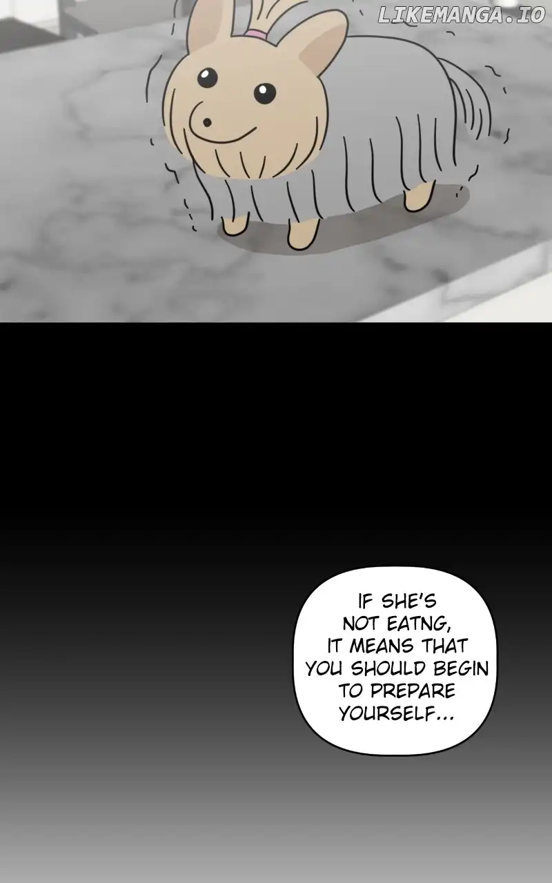Maru Is a Puppy Chapter 45 - Page 41