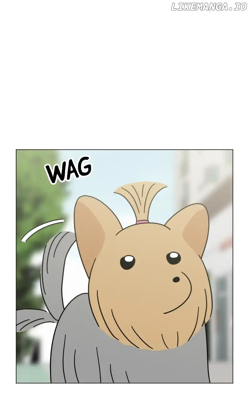 Maru Is a Puppy Chapter 45 - Page 5