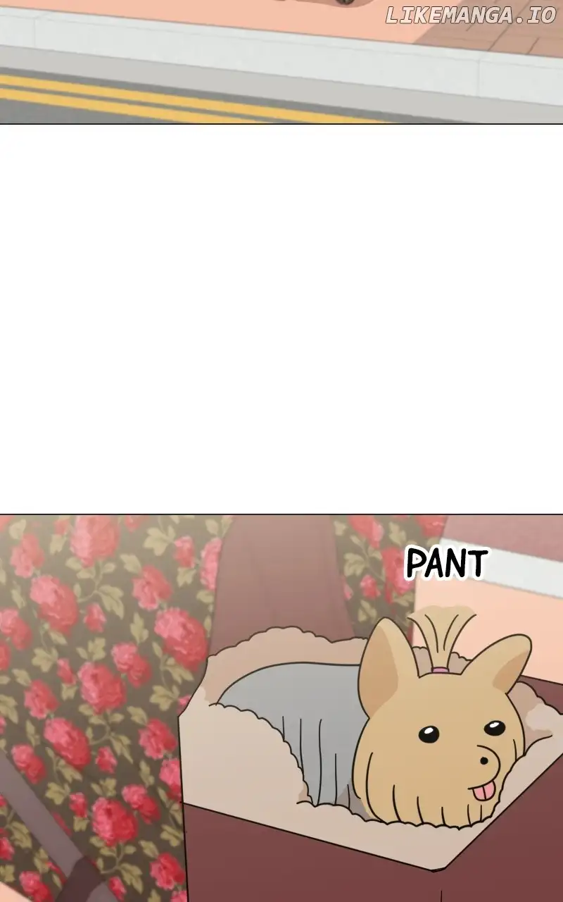 Maru Is a Puppy Chapter 45 - Page 52