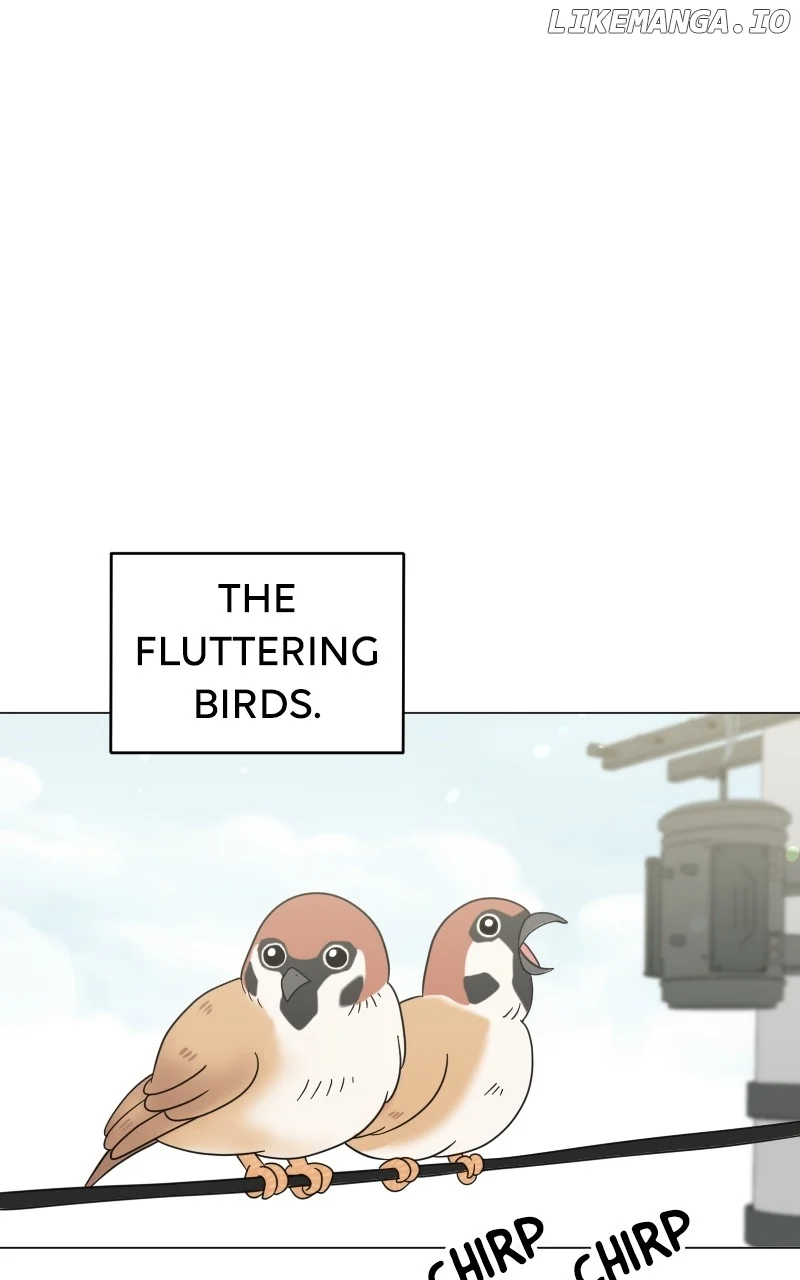 Maru Is a Puppy Chapter 54 - Page 0