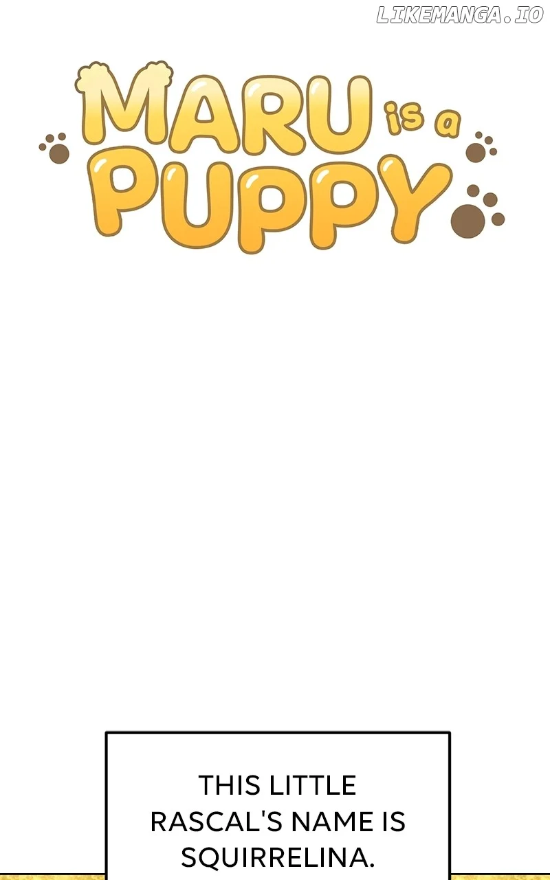 Maru Is a Puppy Chapter 58 - Page 4