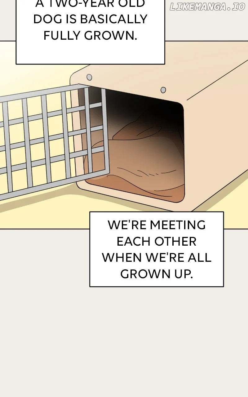 Maru Is a Puppy Chapter 86 - Page 93