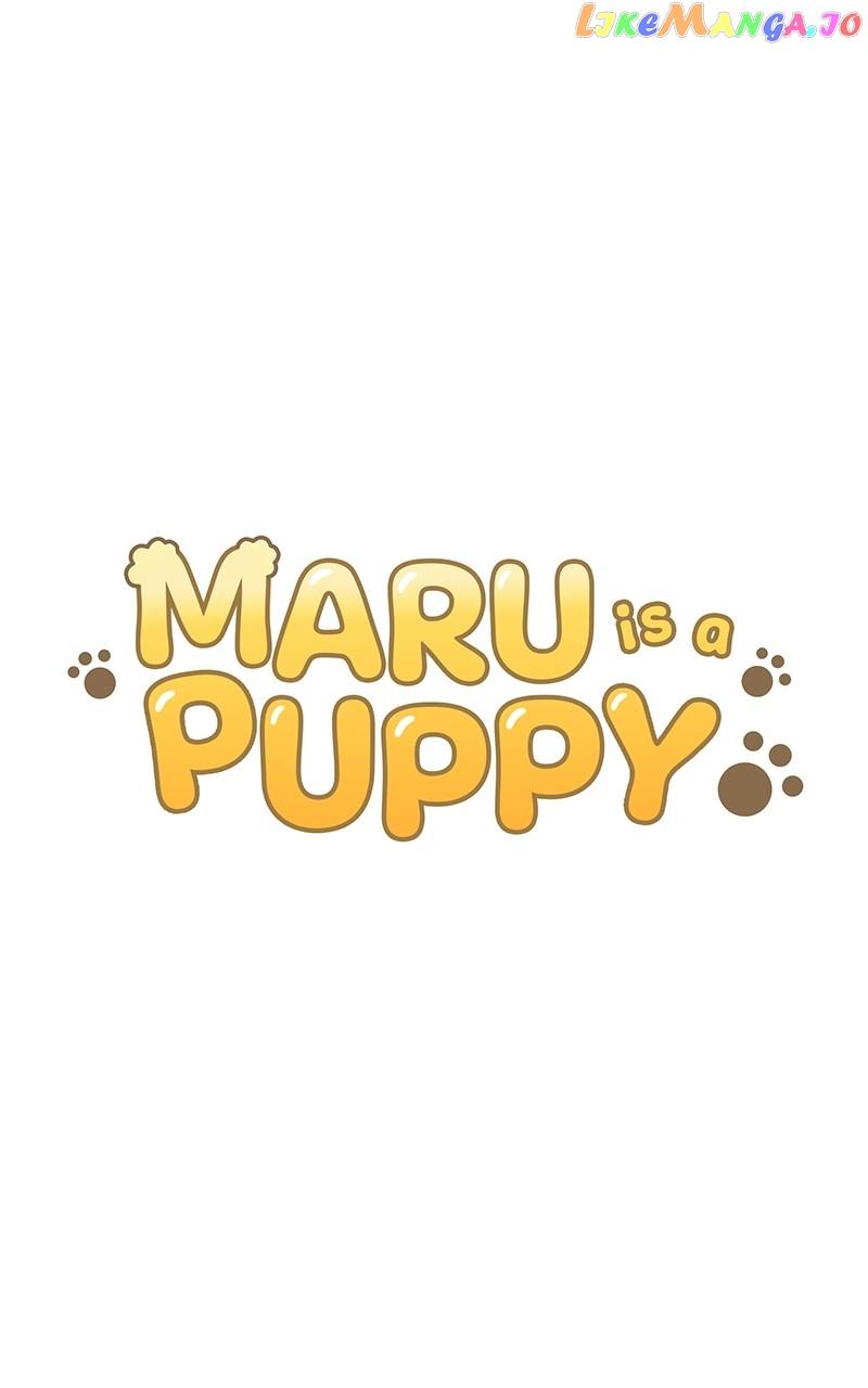 Maru Is a Puppy Chapter 9 - Page 9