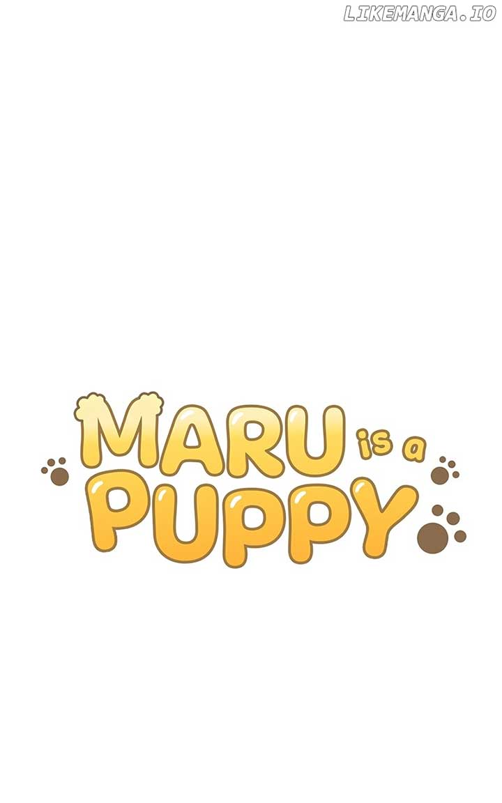 Maru Is a Puppy Chapter 91 - Page 0