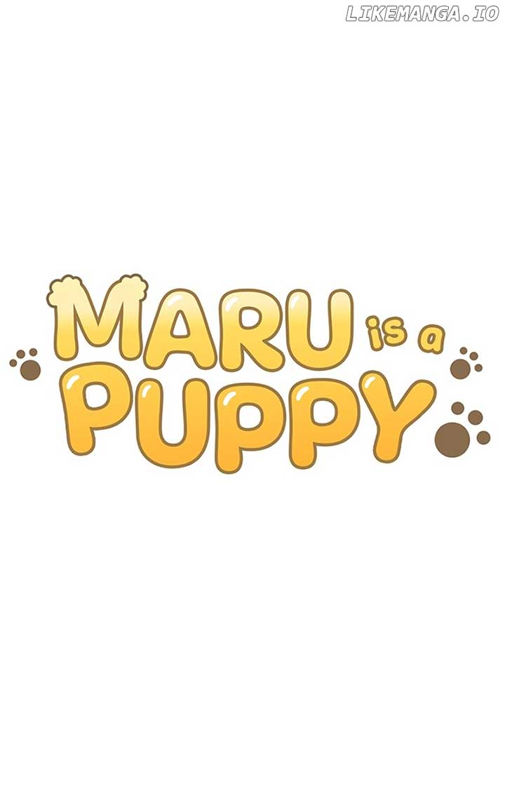 Maru Is a Puppy Chapter 93 - Page 0