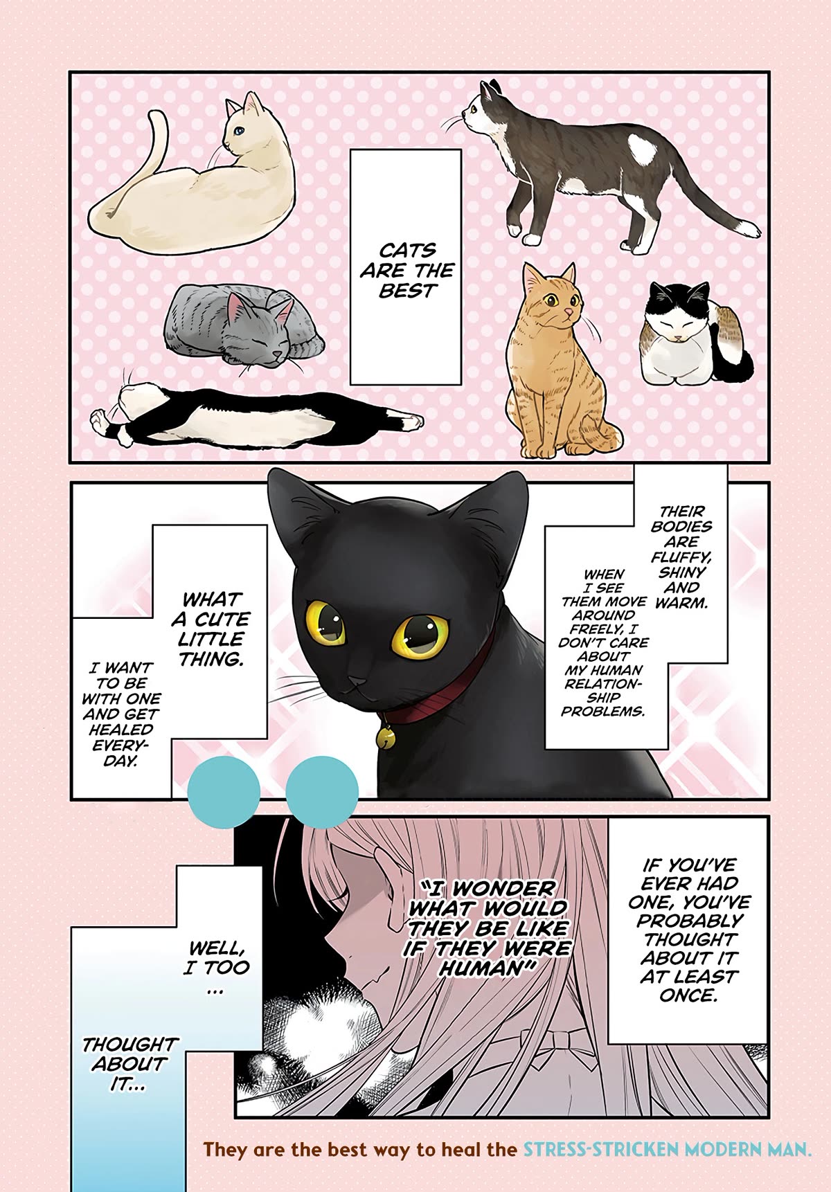Mi-chan Wants to Be Kept Chapter 1 - Page 1