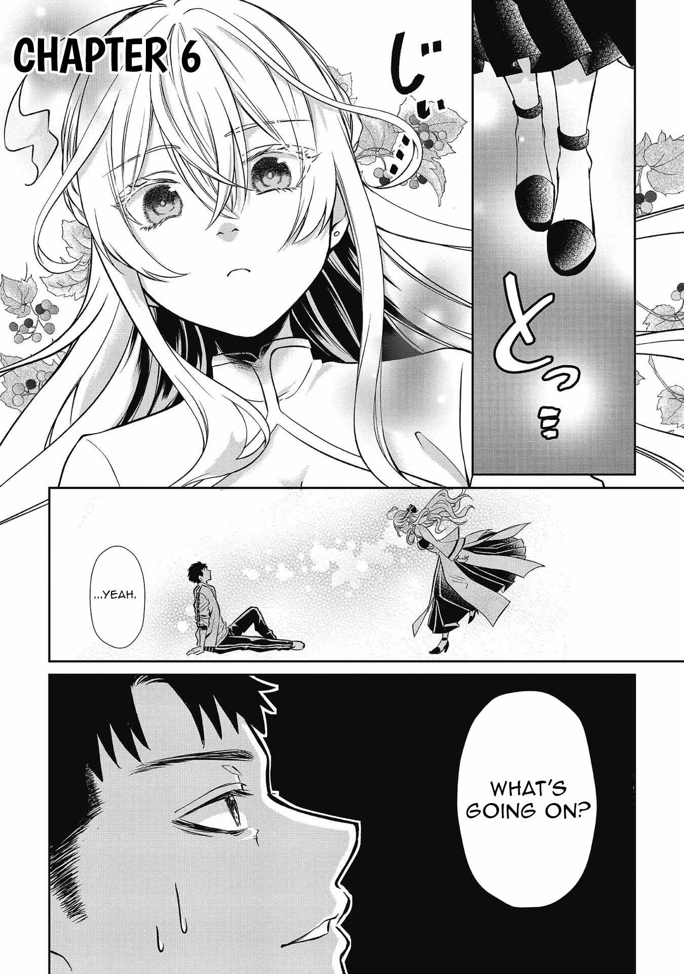 Middle-aged Sorcerer’s Leisurely Dungeon Conquest – I Got the Strongest Skill by Using a Skill Orb, so I Think I’ll Live as I Please Chapter 6 - Page 5
