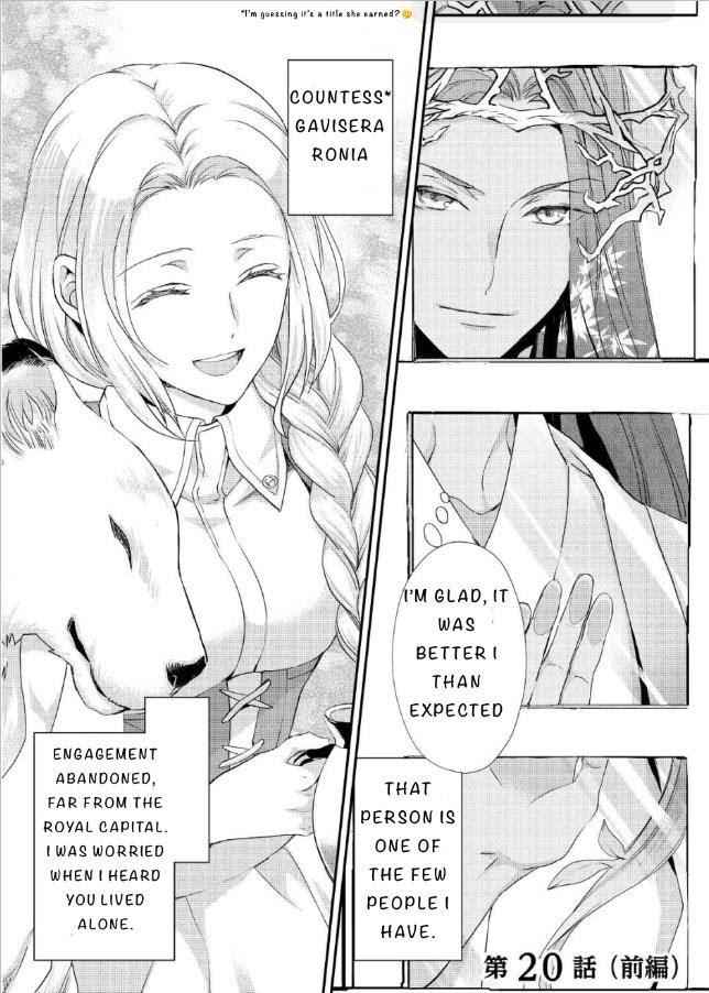 Milady Just Wants to Relax Chapter 20 - Page 11