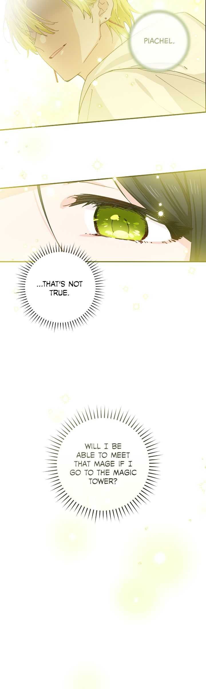 Miss Who Swallowed a Mage Chapter 1 - Page 29